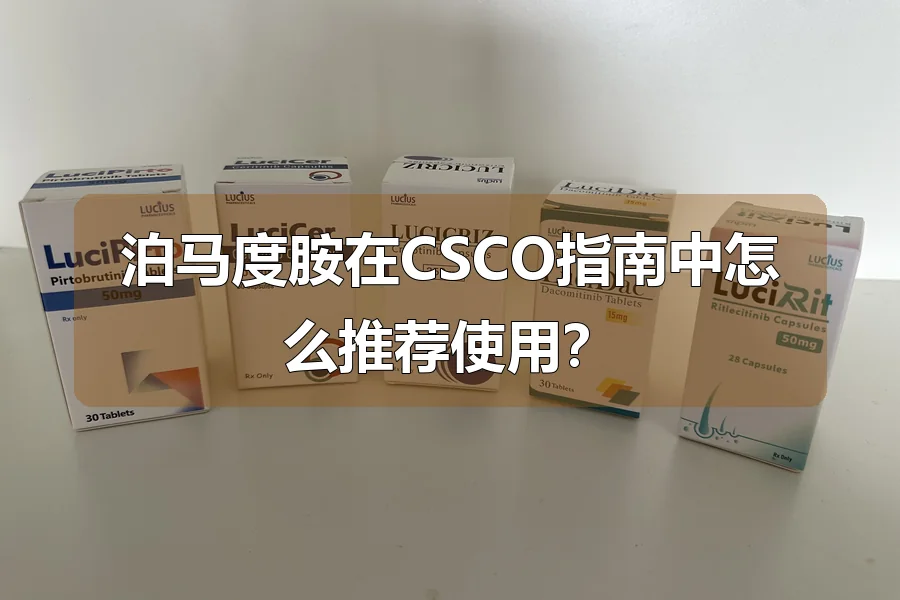 泊马度胺在CSCO指南中怎么推荐使用?